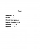 El conflicto en medio oriente.