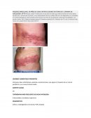 Dermatologia pacientes.