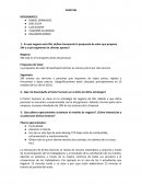 En qué negocio esta SW, defina claramente la propuesta de valor que propone SW y a qué segmento de clientes apunta?