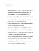 PELADO. Una vez secada la papa se procederá a retirar la cascara de la misma con ayuda de un pelador para vegetales.
