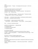 Prominencias maxilares superiores: Al lao del estomodeo