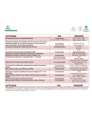 Actividades festivas de la temporada navideña