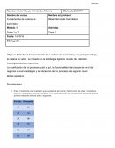 Fundamentos de cadena de suministro