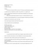 REPORTE SOBRE "LUCAS Y YO"