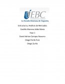 Fase 1.- Estructura de mercado