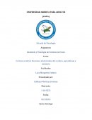 Corteza cerebral, funciones intelectuales del cerebro, aprendizaje y memoria
