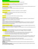 Representaciones: compilación de nuestro conocimiento sobre el mundo, tanto de las relaciones aparentes como del funcionamiento de la realidad