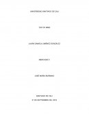 TOP OF MIND. ¿Qué hará tan especial a estas marcas?