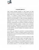 ECONOMIA AMBIENTAL.