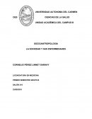 Sociedad y sus enfermedades.