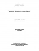 ASEGURAMIENTO DE LA INFORMACIÓN, UNA DE LAS MANERAS DE CREAR VALOR DE LAS EMPRESAS ANTE SUS INTERESADOS