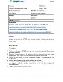 Generen en acuerdo común, de acuerdo al servicio analizado, cuál es la etapa del diagrama más crítica considerando las necesidades del cliente.