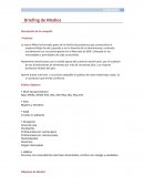 Breifing medios La marca Milex