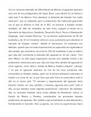 Aguacate mexicano será uno de los protagonistas del Super Bowl