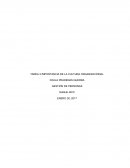 TAREA 3 IMPORTANCIA DE LA CULTURA ORGANIZACIONAL