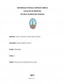 Informe de metabolismo basal