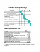 CRONOGRAMA DE LA ACTIVIDAD PREVIA A LA APERTURA