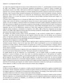 La inmigracion en argentina