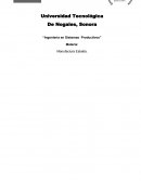 Ingeniería en sistemas productivos