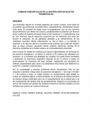 CAMBIOS SUBCORTICALES EN LA MATERIA GRIS EN SUJETOS TRANSEXUALES