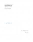 CRITERIO ESTRUCTURAL III INVESTIGACIÓN ACERO