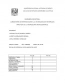 Materiales metalografia.