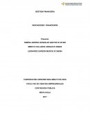 GESTION FINANCIERA INDICADORES FINANCIEROS