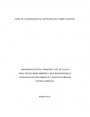 PAPEL DE LOS BOSQUES EN LA MITIGACION DEL CAMBIO CLIMATICO