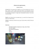 Informe de experimento Lámpara de lava