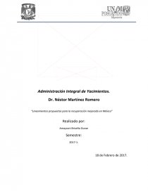 Lineamientos propuestos para la recuperación mejorada en México. Página 1