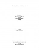 Responsabilidad social practica de vida.El modelo de formación ciudadana y sus fases