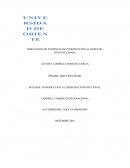 Portafolio de evidencia derecho constitucional