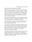 Análisis del artículo: El capital intelectual y el conocimiento