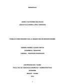 TRABAJO COMO REQUISITO DE LA ASIGNATURA DE MICROECONOMÍA