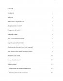 Que es el Control empresarial