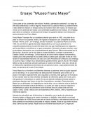 Ensayo Franz Mayer