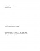 TEORIA GENERAL DE SISTEMAS MOMENTO 3