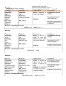Reaccion quimica. Comportamiento químico Oxido-Reducción