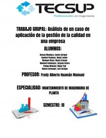Análisis de un caso de aplicación de la gestión de la calidad en una empresa. Página 1