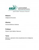 Reflexión y aplicación de las competencias de la Inteligencia Emocional