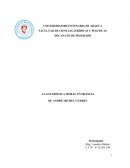 Ensayo Estadistica moral en Francia