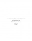 Gestión de Prevención de Riesgos. Peter Drucker