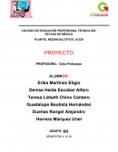 SOFTWARE “DISIS” “Llevando Tu Imaginación A Otro Nivel”