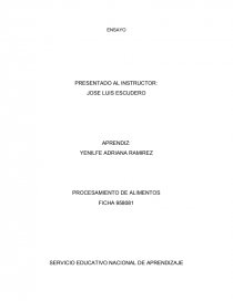 SERVICIO EDUCATIVO NACIONAL DE APRENDIZAJE. Página 1