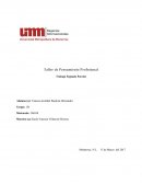 Taller de Pensamiento Profesional Elementos de evaluación del trabajo segundo parcial