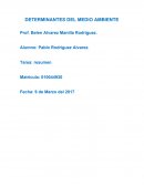 Determinantes del medio hambiente