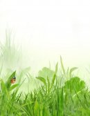 EXCLUSIÓN MUTUA CON ALGORITMO DE PETERSEN