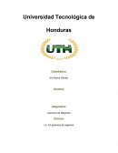 20 franquicias establecidas en Honduras
