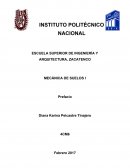 Prefacio Juarez Badillo