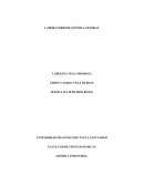 LABORATORIO DE QUÍMICA GENERAL CAROLINA VEGA MENDOZA EDSON CAMILO VEGA RUEDAS